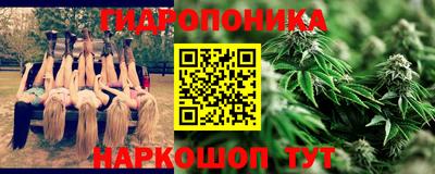 крисы Коммунар