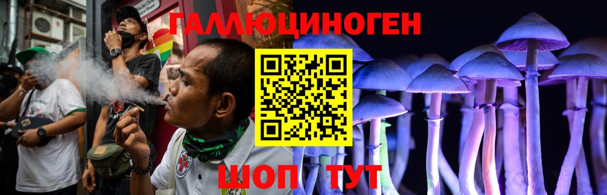 Псилоцибиновые грибы Psilocybe  Вход с VPN  Жуковский  Галлюциногенные грибы ЛСД 